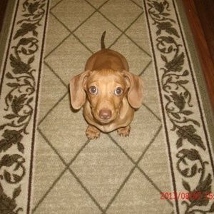 Meet your Posher, Renae